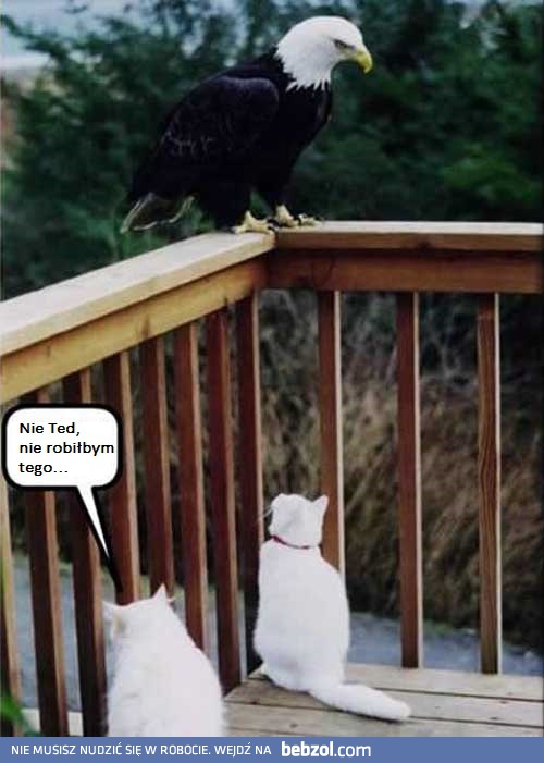 Ted, nie robiłbym tego