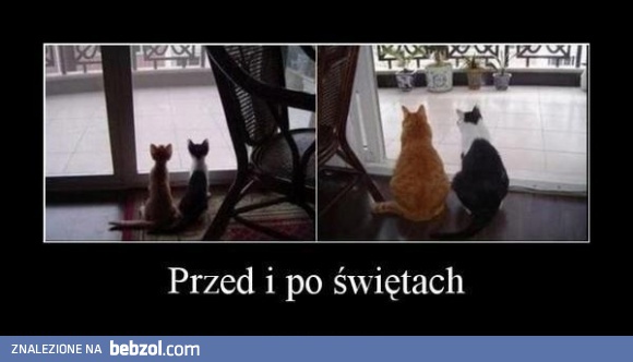 Przed i po świętach