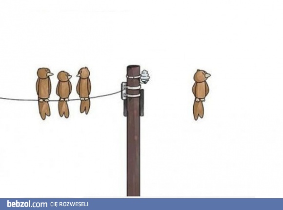 Bezprzewodowy ptaszek