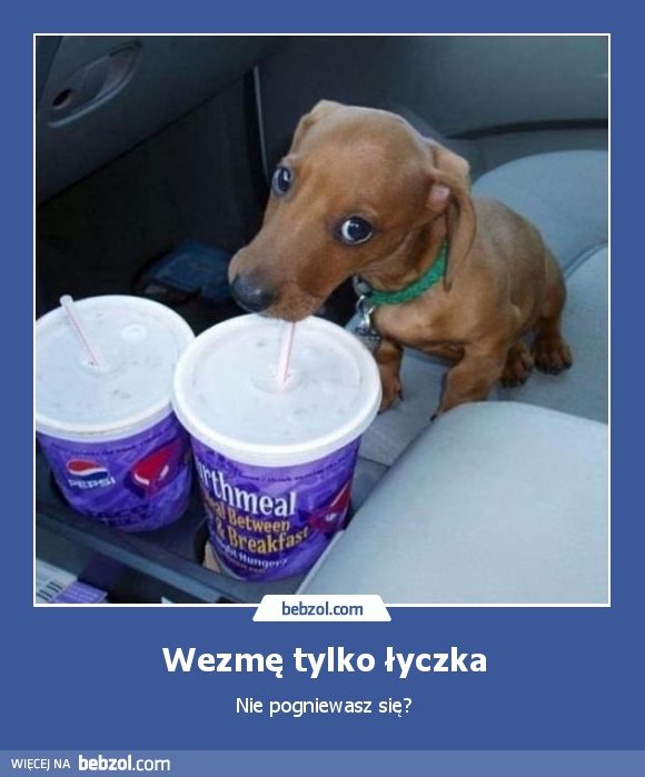 Wezmę tylko łyczka