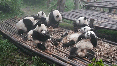 Niedługo sesja, znajdź sobie zajęcie