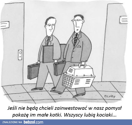 Tymczasem na spotkaniu z inwestorem