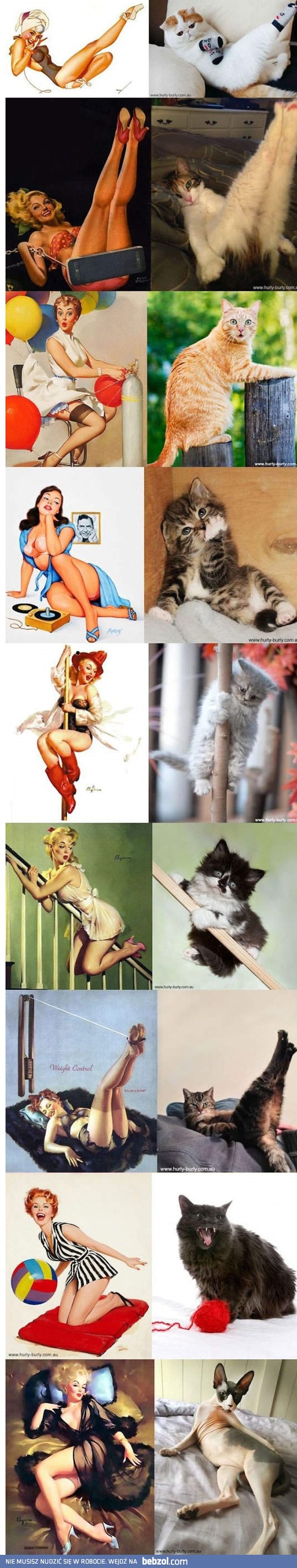 Zdecydowanie, mój kot robi to lepiej