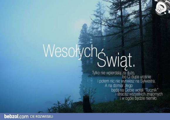 Wesołych Świąt!