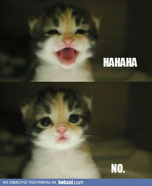 Trzeba być odrobinę zabawnym