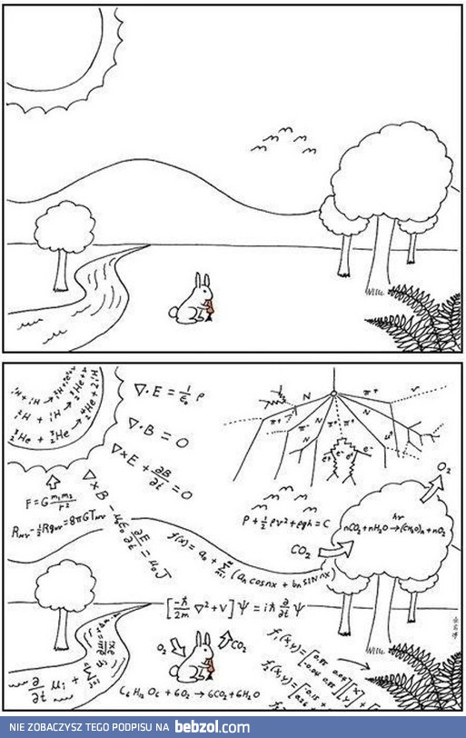 Po roku na Politechnice