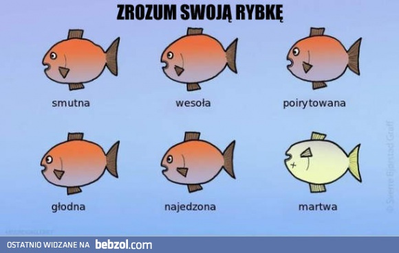 Mini poradnik dla hodowców