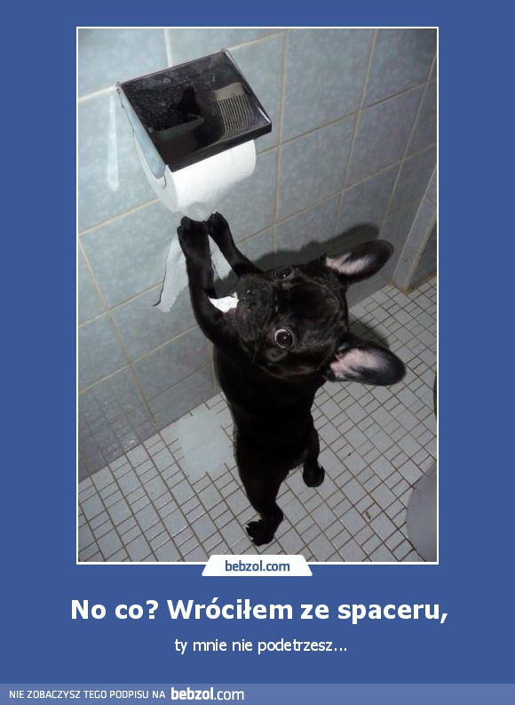 No co? Wróciłem ze spaceru