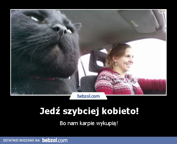 Jedź szybciej kobieto!