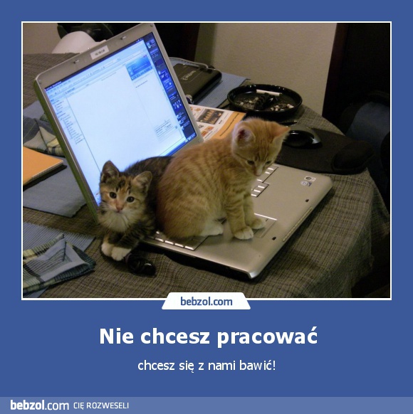 Nie chcesz pracować