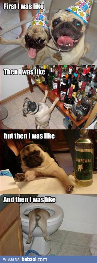 A sylwester będzie wyglądał tak