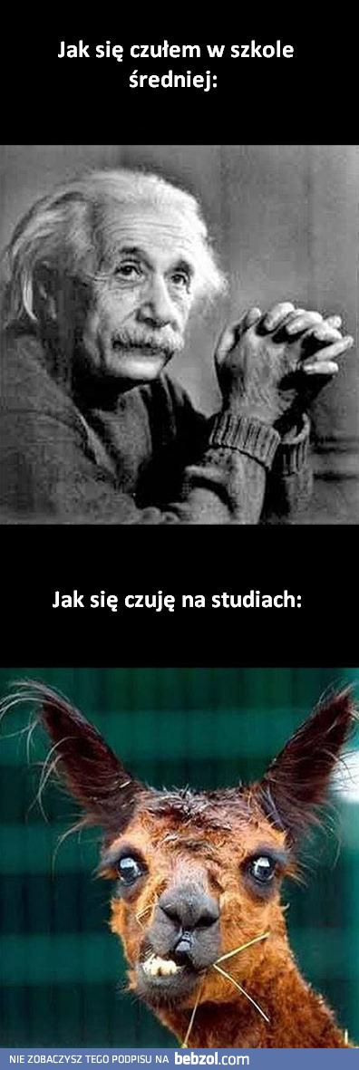 Szkoła średnia, a studia