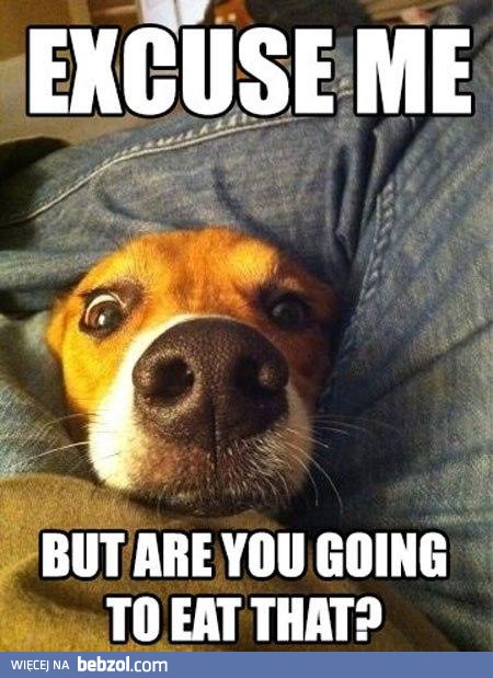 Przepraszam, będziesz to jadł?