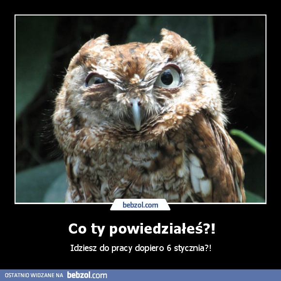 Co ty powiedziałeś?!