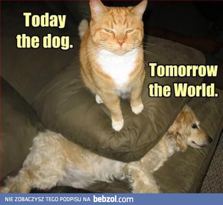 Dzisiaj pies jutro świat