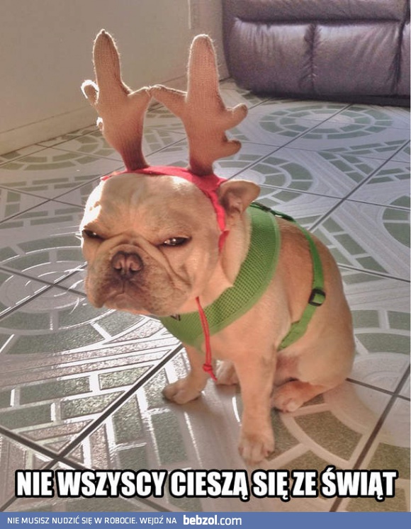 Nie wszyscy cieszą się ze świąt