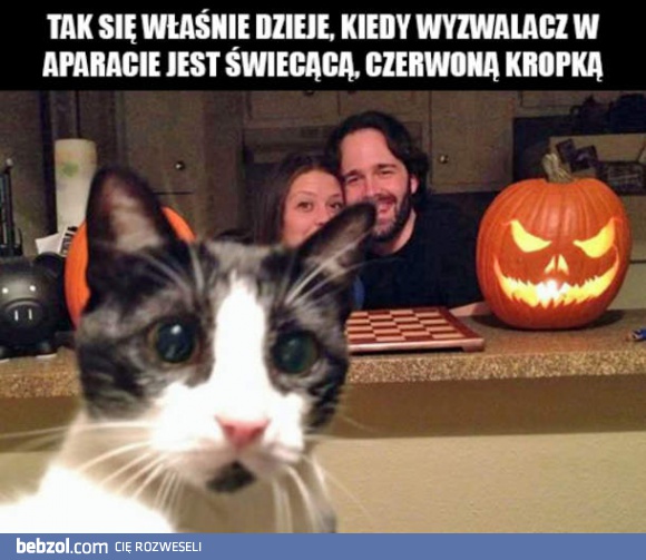 Zdjęcie z wyzwalaczem