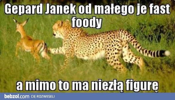 Dobra przemiana materii