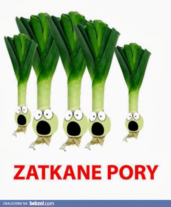 Zatkane pory