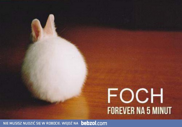 Foch forever