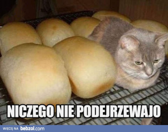 Przyczajony i zamaskowany