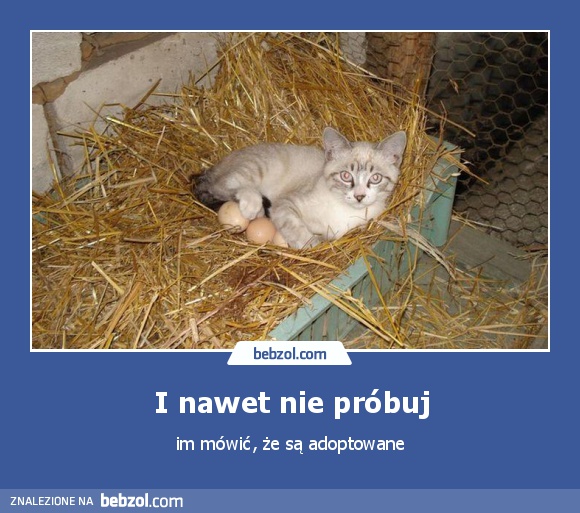 I nawet nie próbuj