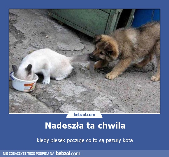 Nadeszła ta chwila