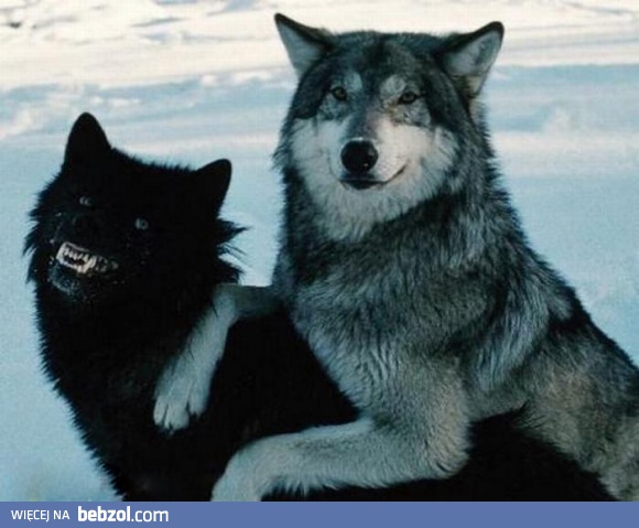 Tak najczęściej wychodzę na zdjęciach