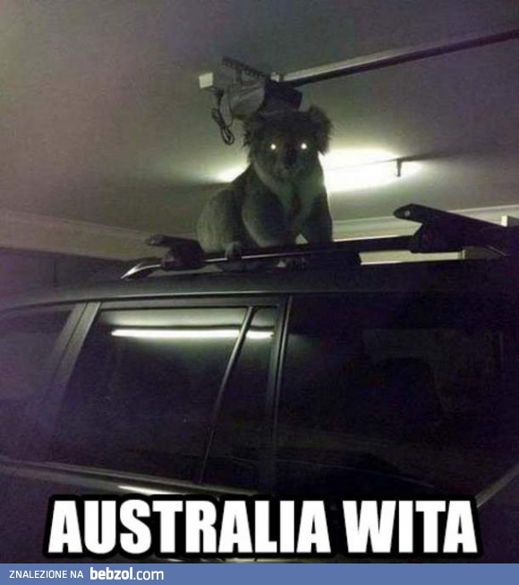 Australia wita