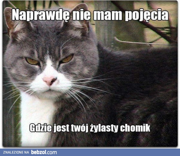 Ja nic nie wiem