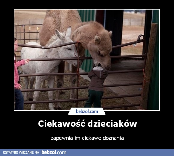 Ciekawość dzieciaków