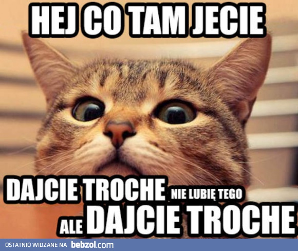 Zupełnie jak mój kot