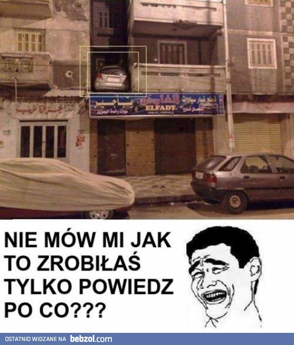 Mistrzyni parkowania