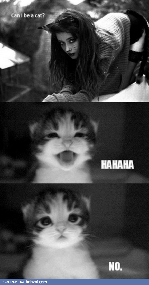 Mogę być kotkiem?