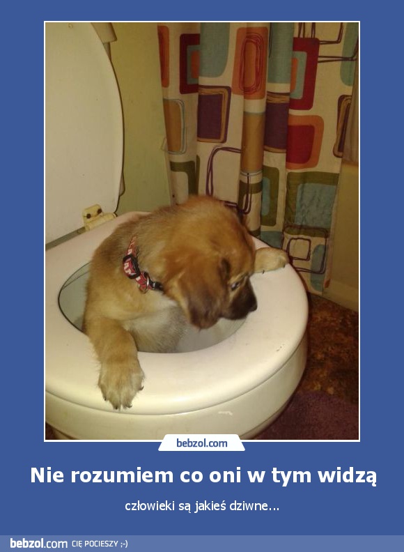 Nie rozumiem co oni w tym widzą