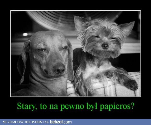 To na pewno był papieros?