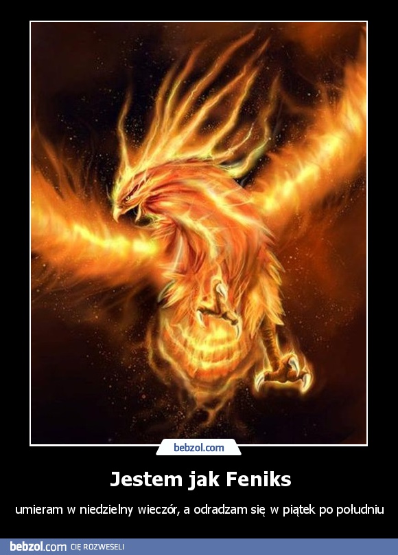 Jestem jak Feniks