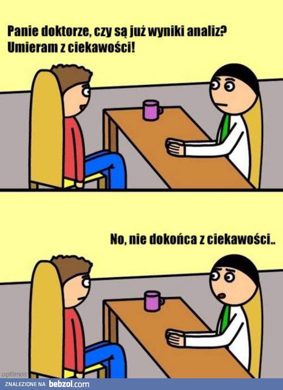 Są już wyniki?