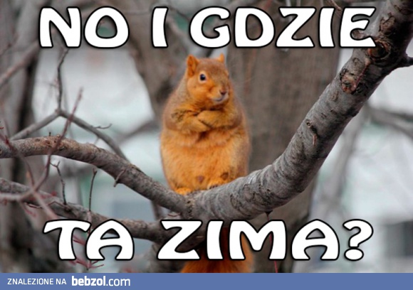 No gdzie?