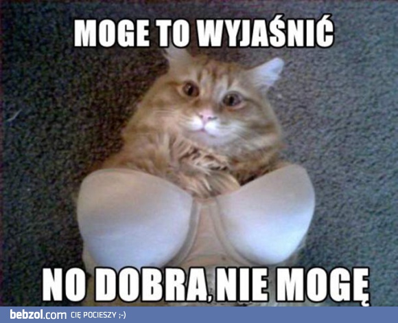 Mogę to wyjaśnić