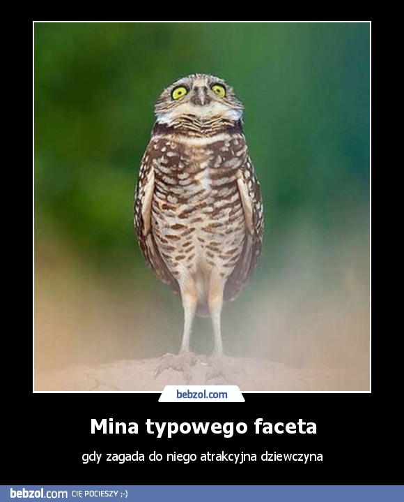 Mina typowego faceta