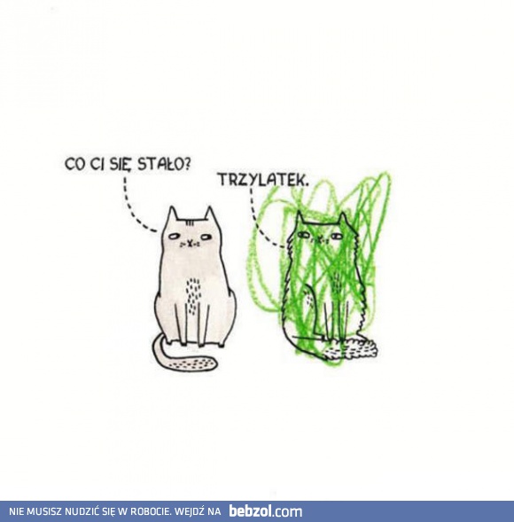 Przygody narysowanego kota