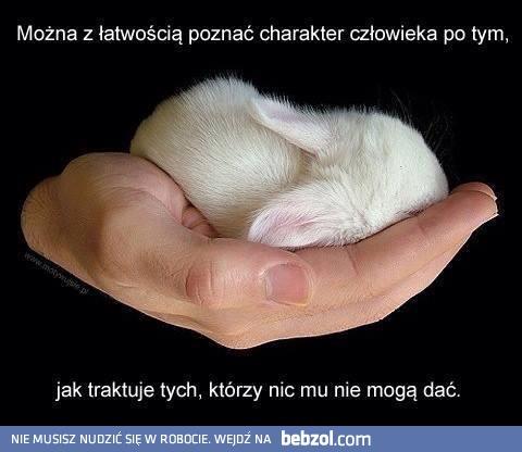 Charakter człowieka