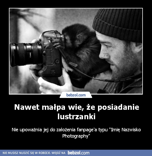 Nawet małpa wie, że posiadanie lustrzanki