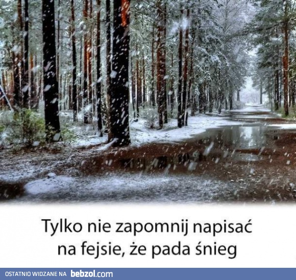 Śnieg pada!