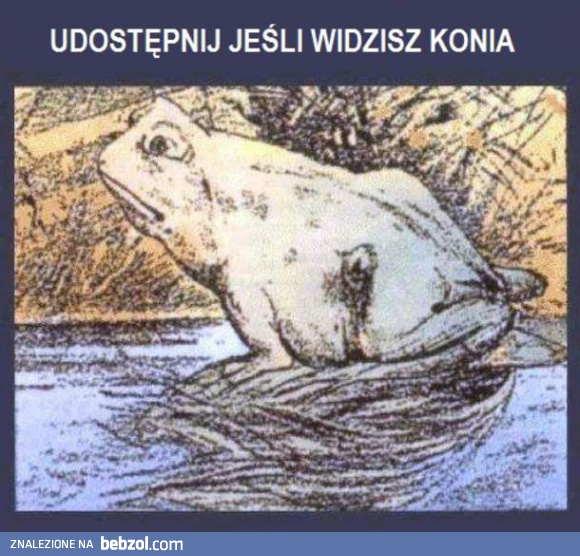 Widzisz konia?