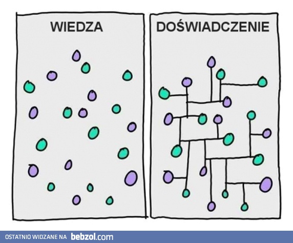 Wiedza vs doświadczenie