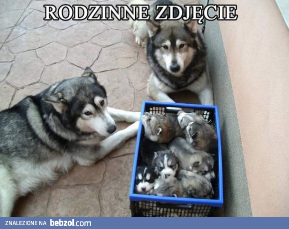 Rodzinne zdjęcie