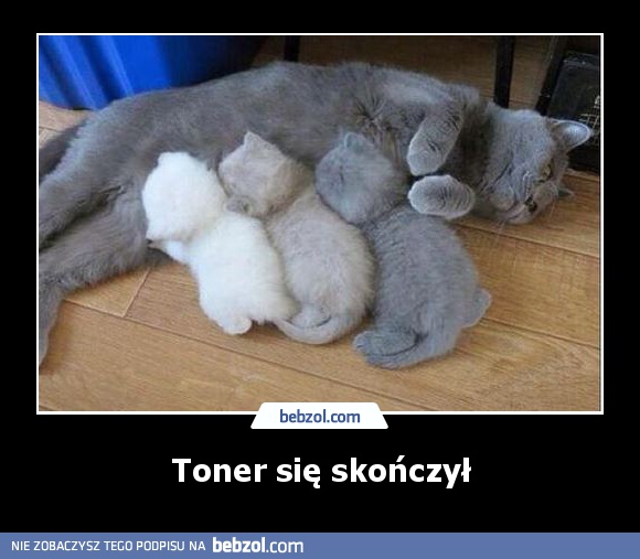 Toner się skończył