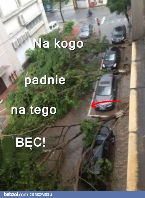 Na kogo padnie na tego bęc!